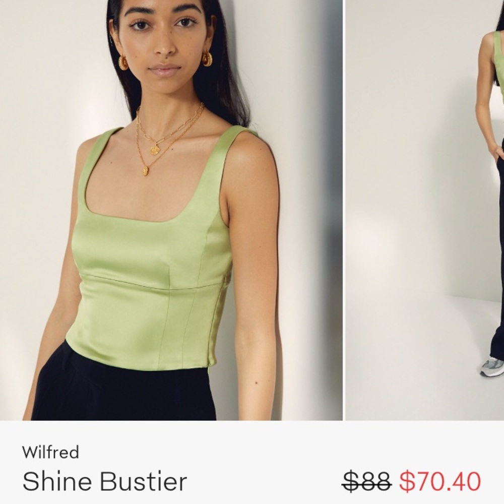 ISO Aritzia Shine Bustier